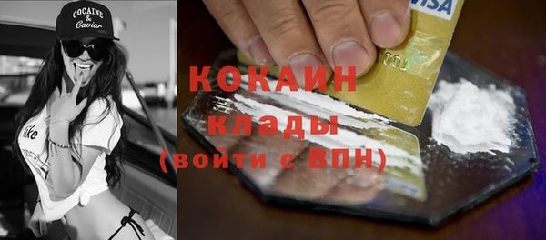 прущие грибы Бугульма