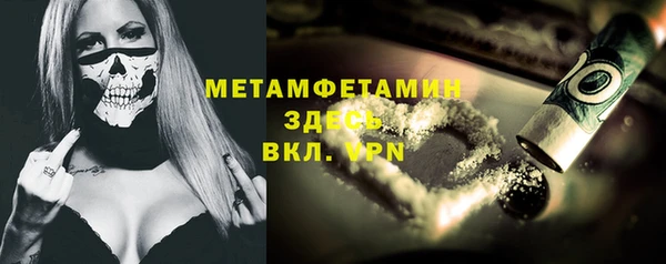 прущие грибы Бугульма