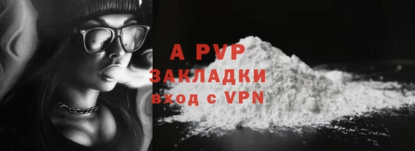 прущий лед Бородино