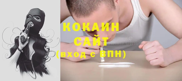 прущий лед Бородино