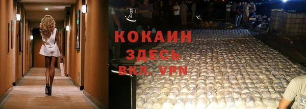 прущие грибы Бугульма