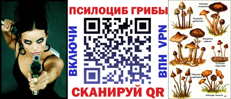 Купить где  Спасск-Рязанский  Псилоцибиновые грибы мухоморы 